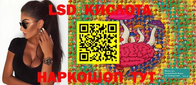 скорость Гай