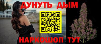 сатива Гатчина