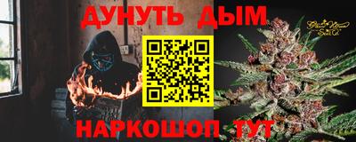 сатива Гатчина