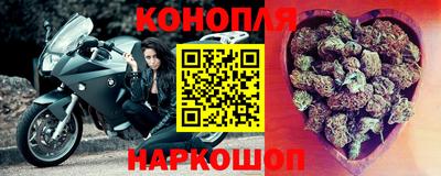 сатива Гатчина