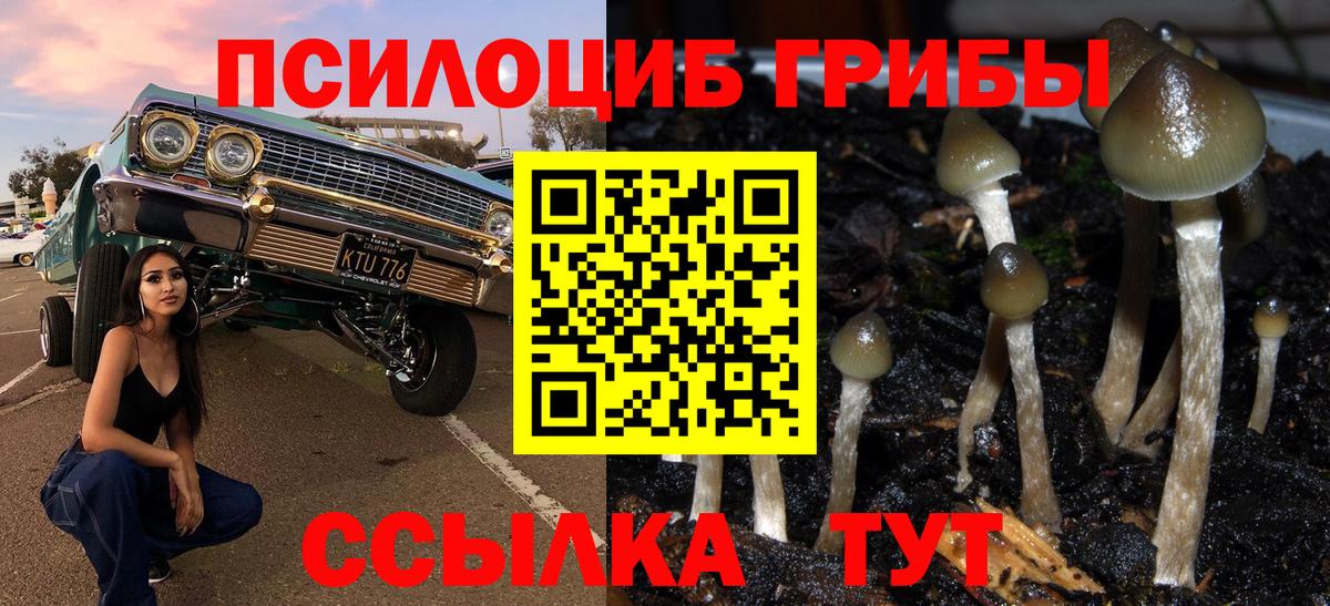 Выкса  Галлюциногенные грибы мицелий  Вход с VPN  Галлюциногенные грибы мухоморы 